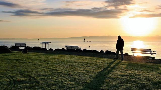 En yalnız meslekler belli oldu: 14 saati yalnız geçiriyorlar