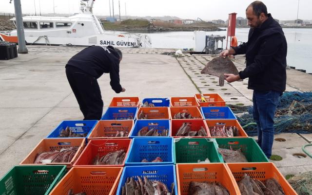 Kaçak avlanan 850 kilogram kalkan balığına el konuldu. 5 kişiye 905 bin TL ceza