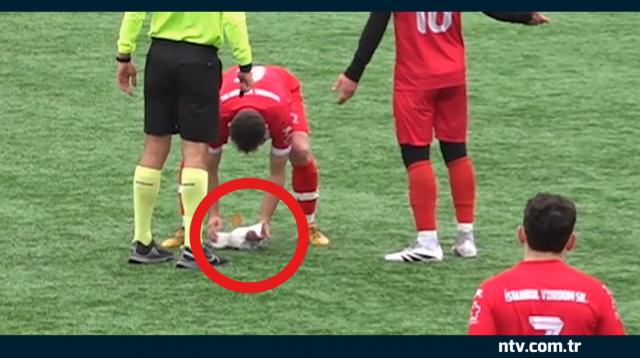 Topla vurulan martıyı hayata döndürdüler