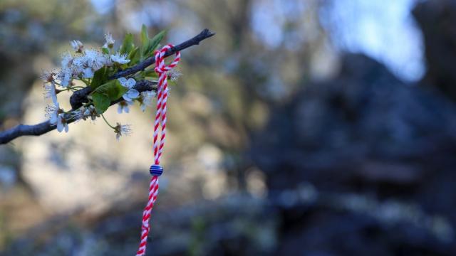 Bereket, şans ve iyilik getirdiğine inanılıyor. Marteniçka nedir?