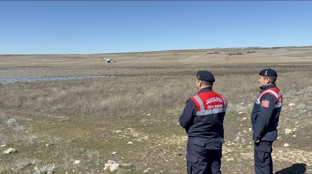 Jandarma flamingo nöbetinde. Drone'la takip ediliyor, 24 saat nöbet tutuluyor