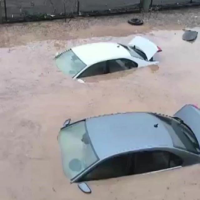 Siirt'te sel felaketi: Araçlar sulara kapıldı, hayvanlar telef oldu